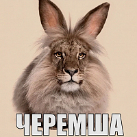 upsarinupsa00