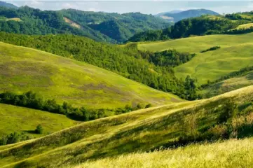 Создание лендинга